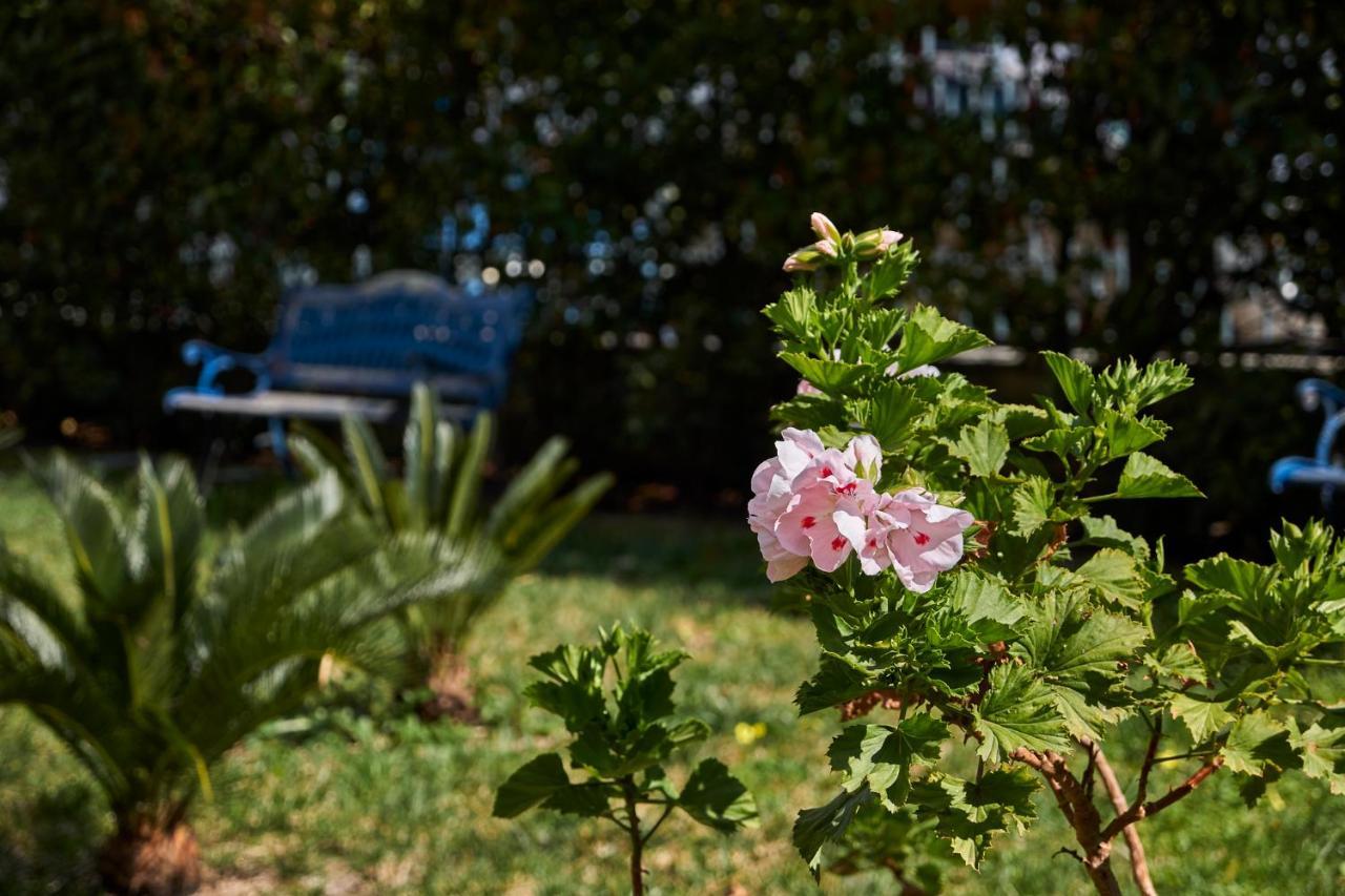 Il Giardino Di Flora Con Piscina Ξενοδοχείο Λέτσε Εξωτερικό φωτογραφία