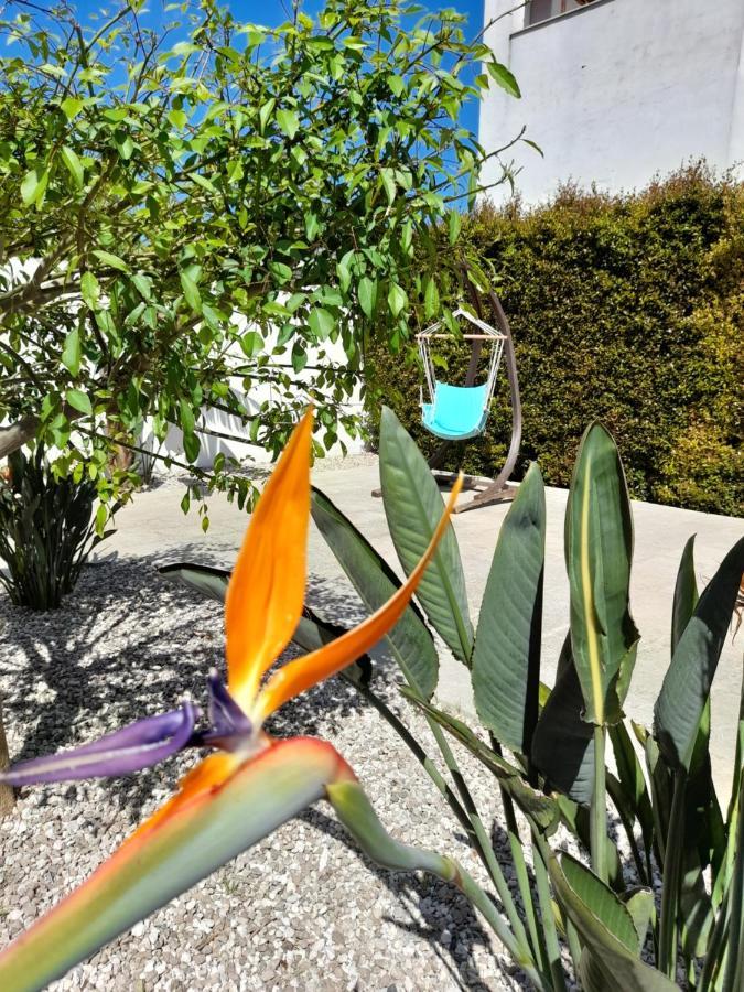 Il Giardino Di Flora Con Piscina Ξενοδοχείο Λέτσε Εξωτερικό φωτογραφία